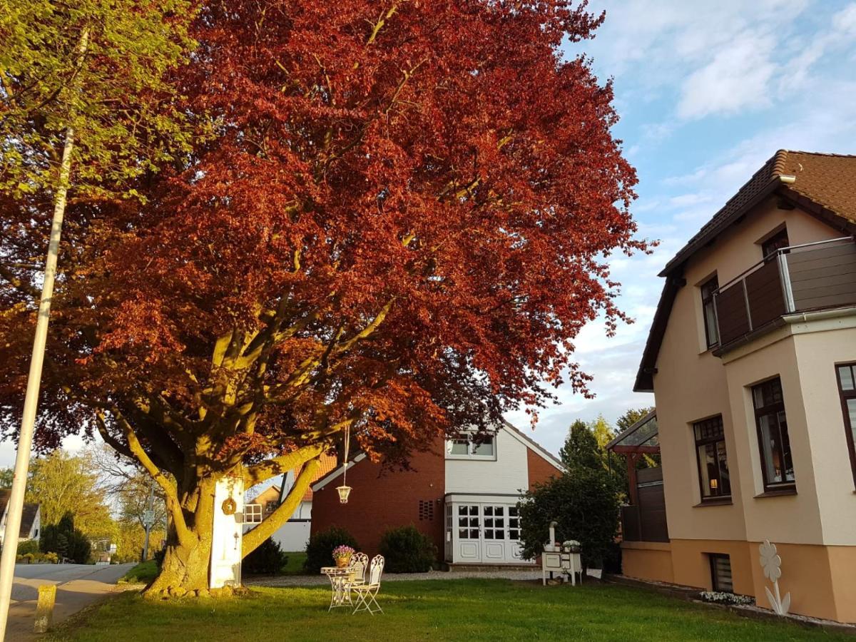 Ostsee Ferienwohnung Pelzerhaken Neustadt in Holstein Exterior photo